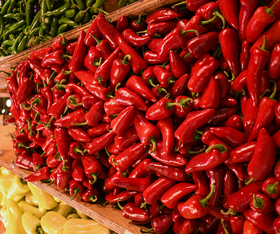 JALAPEÑO ROJO